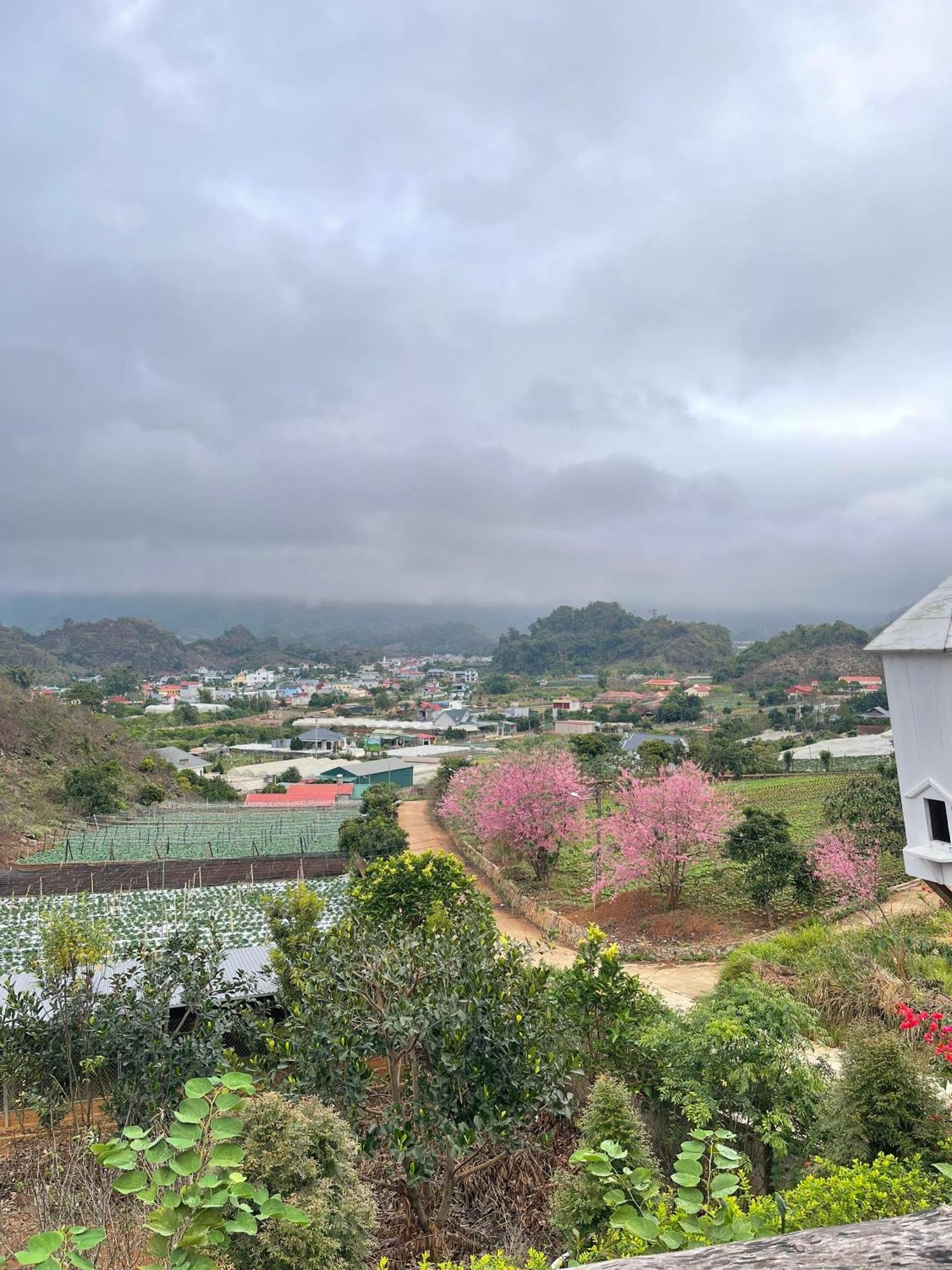 Doi Thong Homestay Moc Chau - By Bay Luxury Son La ภายนอก รูปภาพ